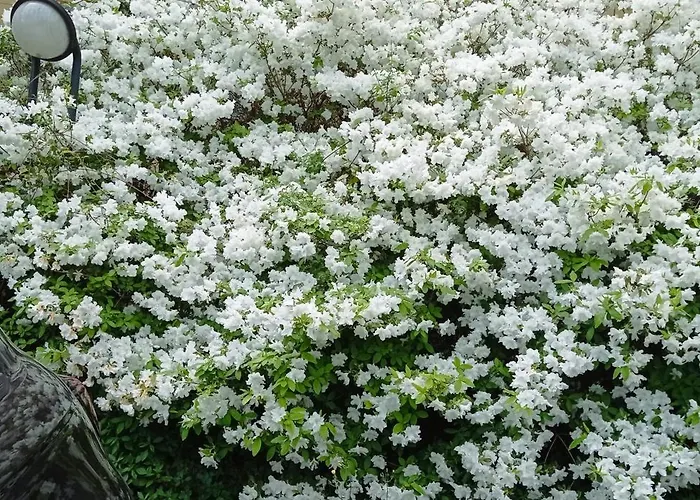 Per Voi-tre Minuti Dal * Como